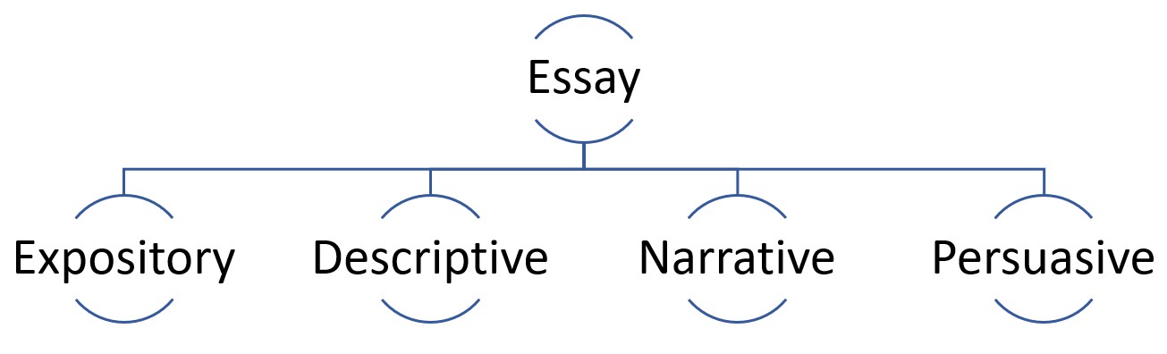 Essay Types