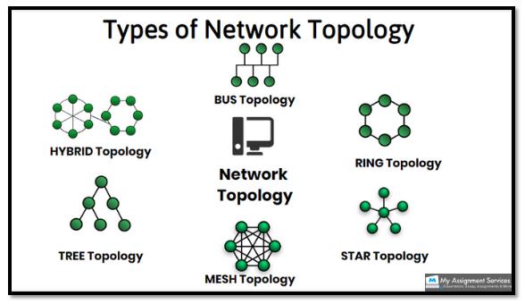 Network Topology Assignment Help Network Topology Assignment Help