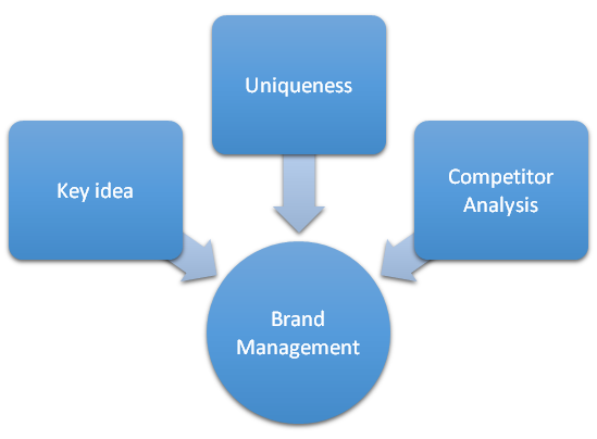 brand management assignment help