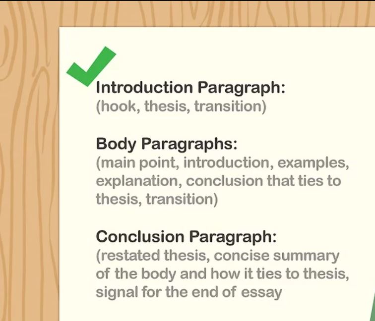 custom essay writing help