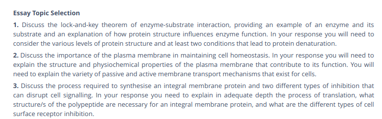 Enzyme Assignment Help