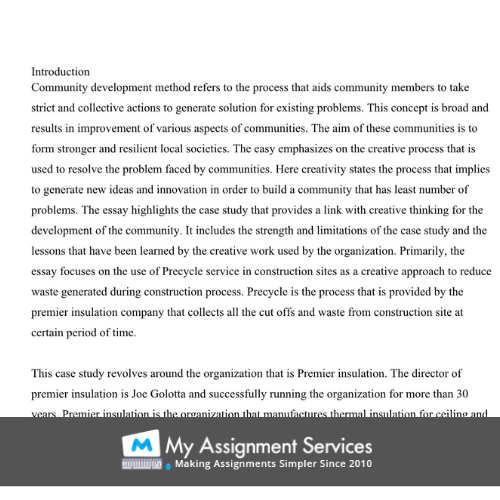 Community Development Assignment Services