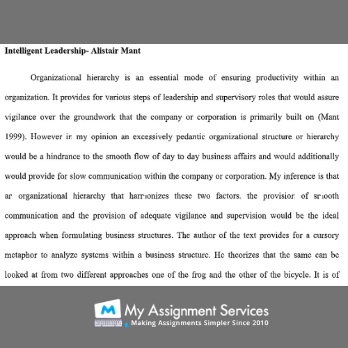 Entrepreneurial Assignment Services