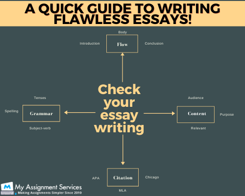 essay writer online