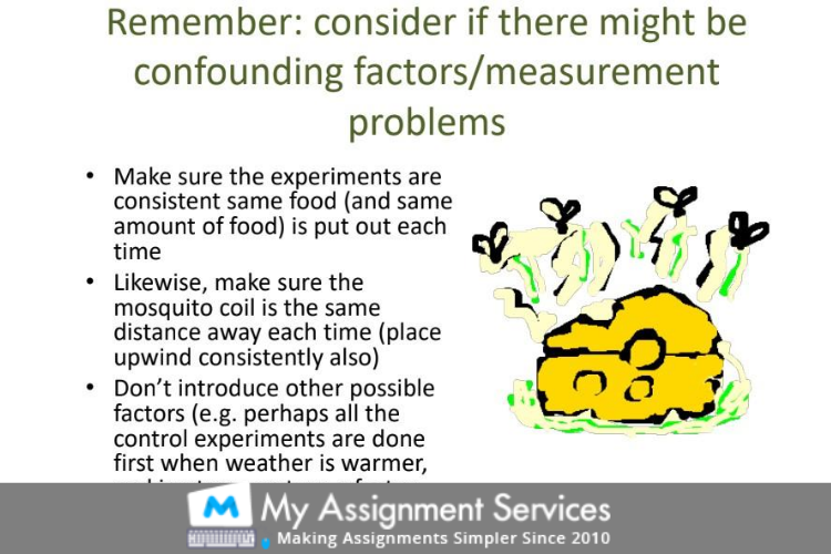 Data Research Assignment Services