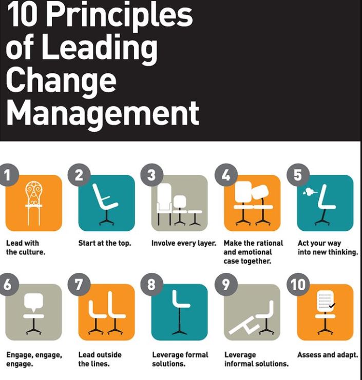 Change Management Assignment help by expert