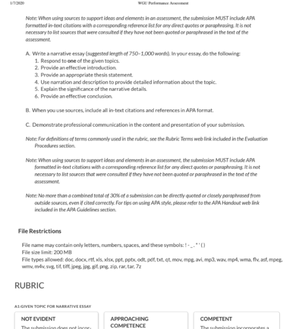  narrative essay example