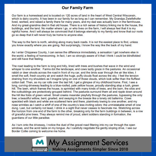 descriptive essay example 2