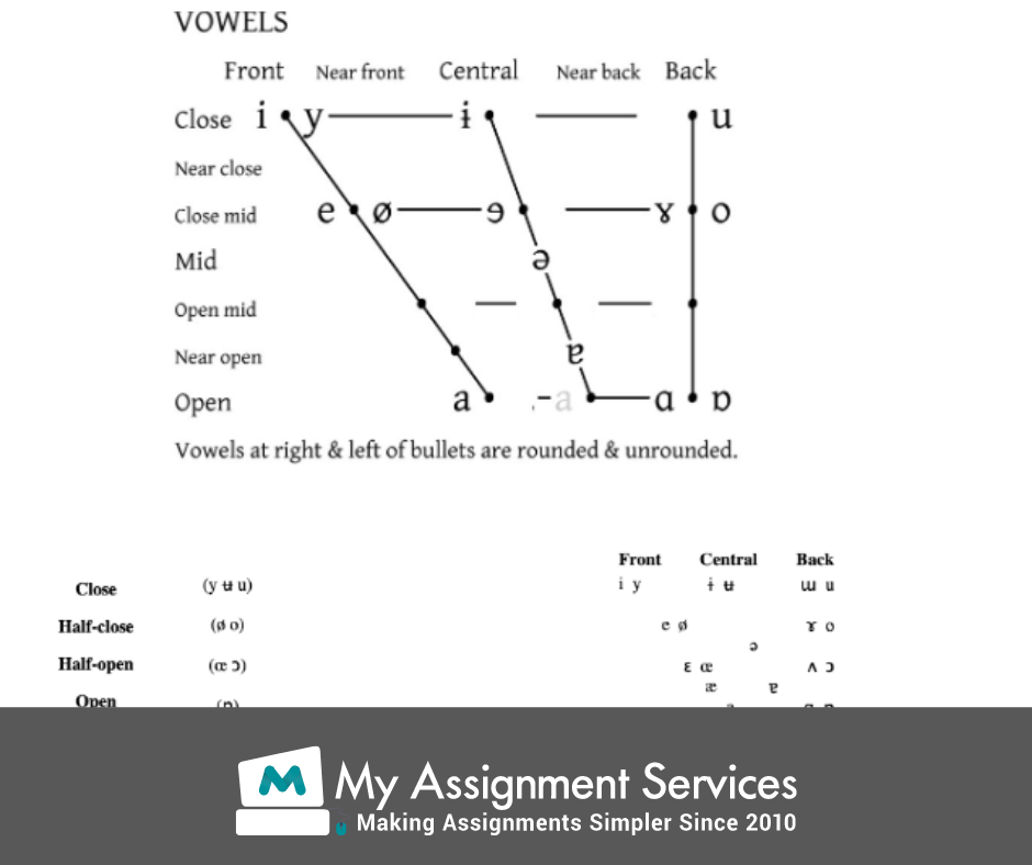 Online sociolinguistics assignment sample australia