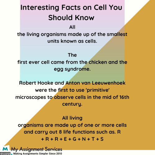 Cytology Assignment