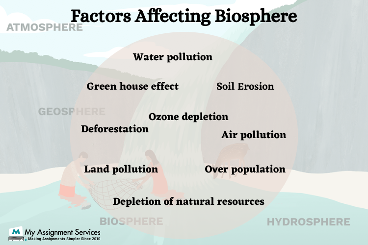 Biosphere Assignment Help