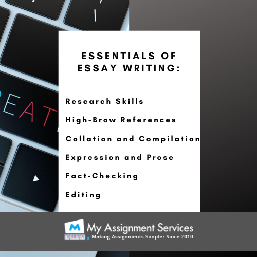informative essay writer USA