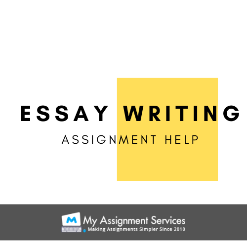 informative essay writers