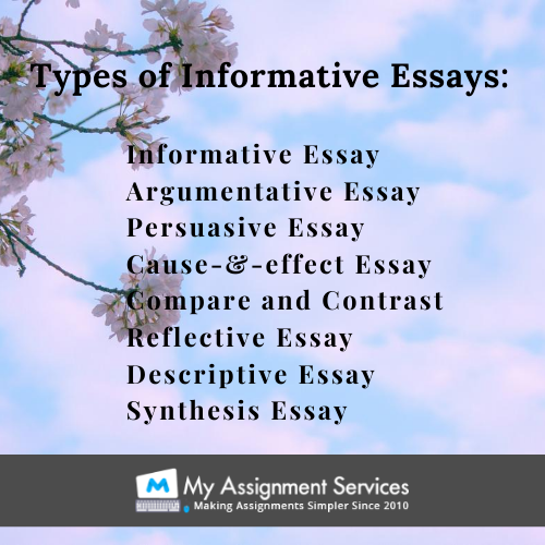 Essay writing help