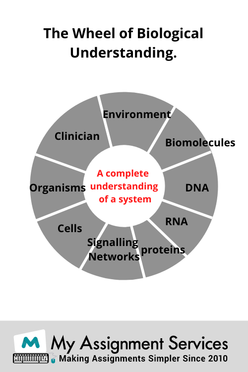 bioinformatics homework help experts