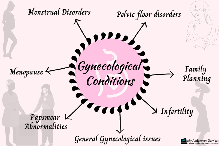 Gynaecology Homework Help USA Sample