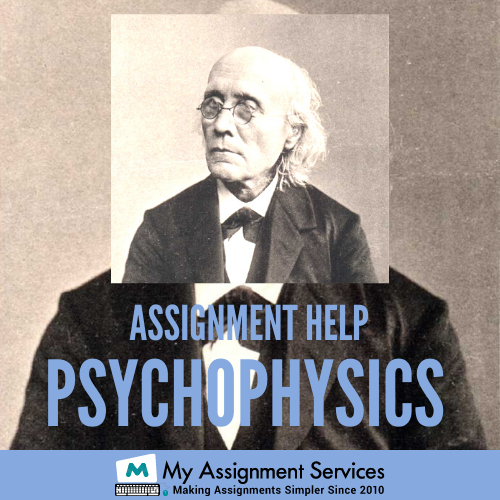 Psychophysics Assignment Help