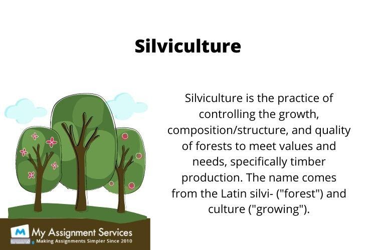 Dendrology assignment
