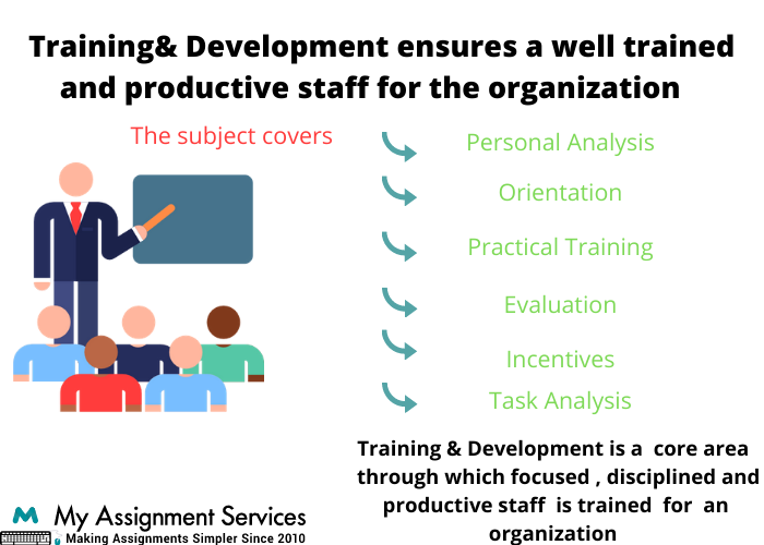 Training and Development Assignment Help