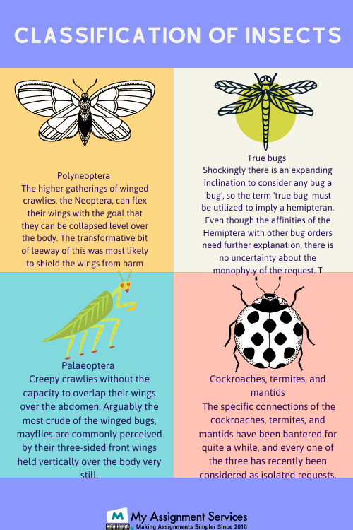 entomology homework help usa