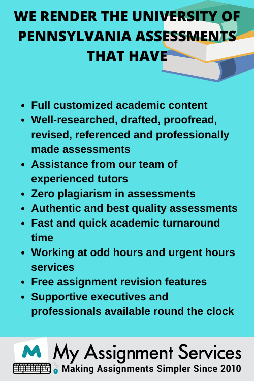 my assignment Services