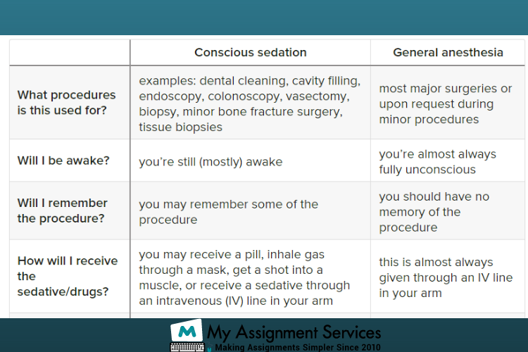 my assignment services