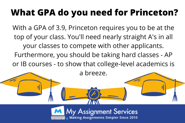 Princeton University assignment help