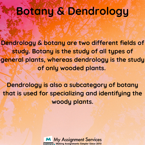 Dendrology Homework Help in USA