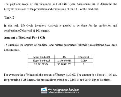 project life cycle assignment help