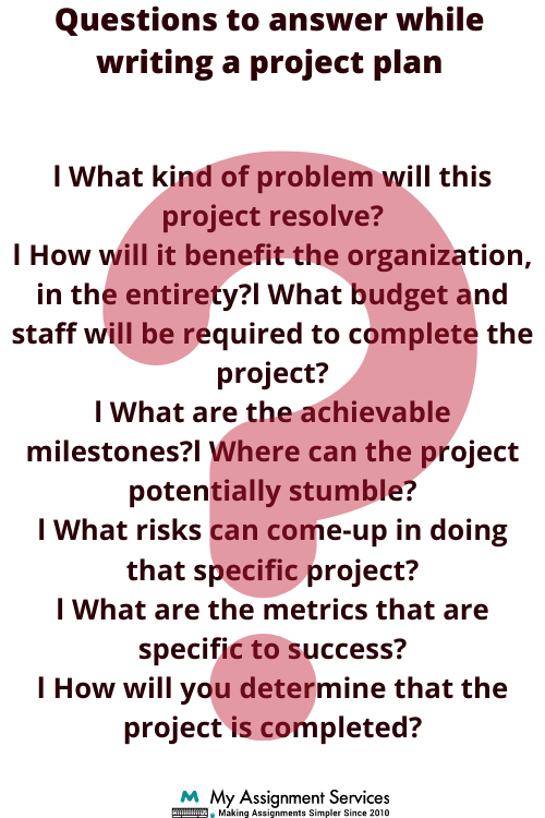 Project Plan Assignment Services