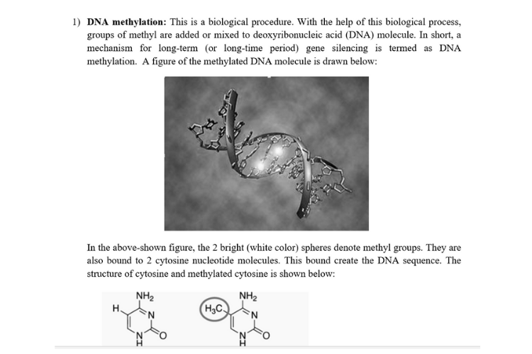 DNA Methylation