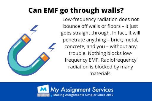 Electromagnetic Fields and Propagating Systems assignment help