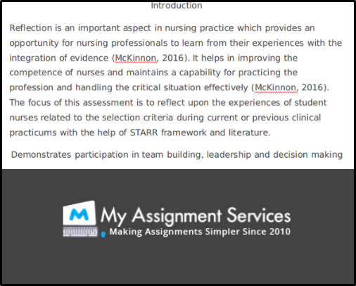 NURS4002 introduction