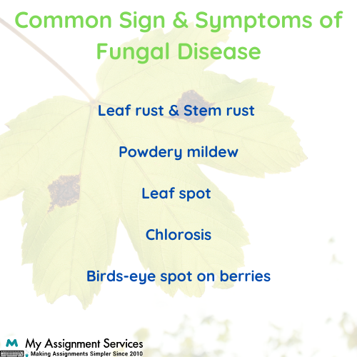 best Plant Pathology Assignment Help