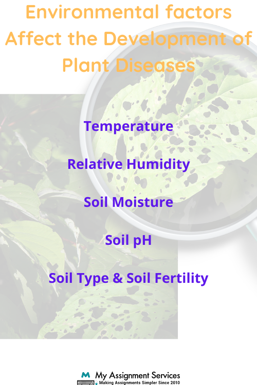 Plant Pathology Assignment