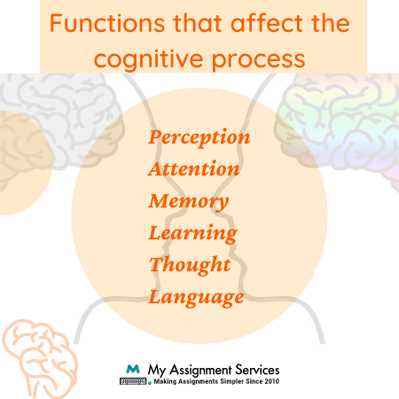 Brain and Cognitive Sciences Homework Help
