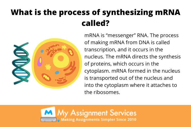 Process Synthesis and Design Assignment Help