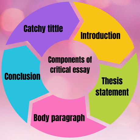 Critical Essay Help