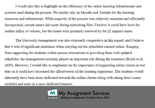 my assignment services