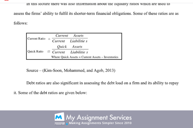 project economics finance assignment samples 1