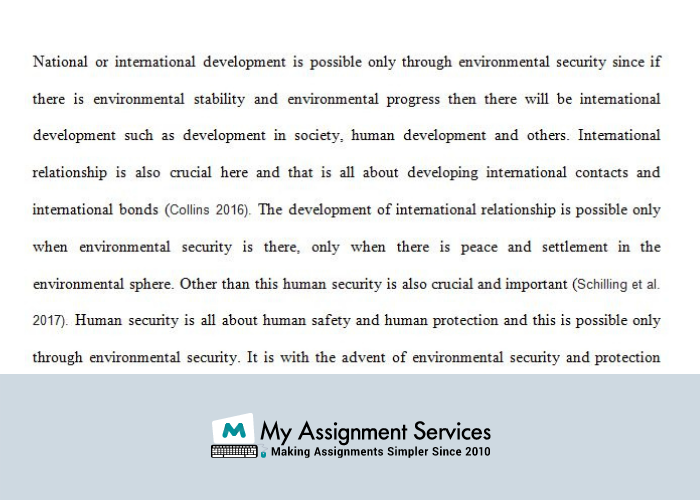 International Security Assignment Help