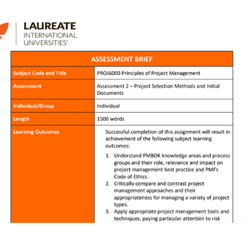 project management assessment brief