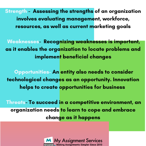 Organizational Analysis Assignment Help