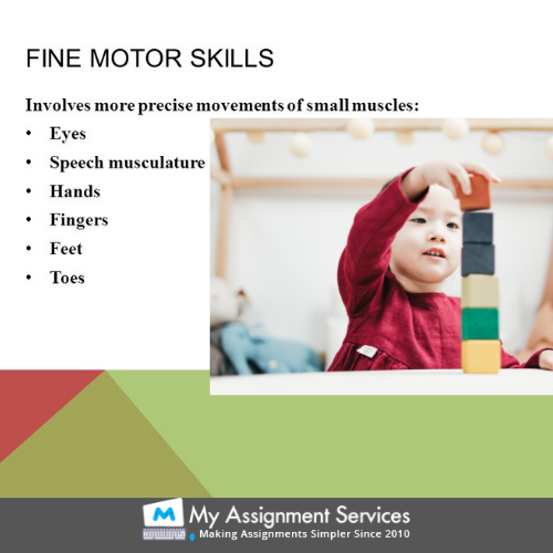 fine motor skills