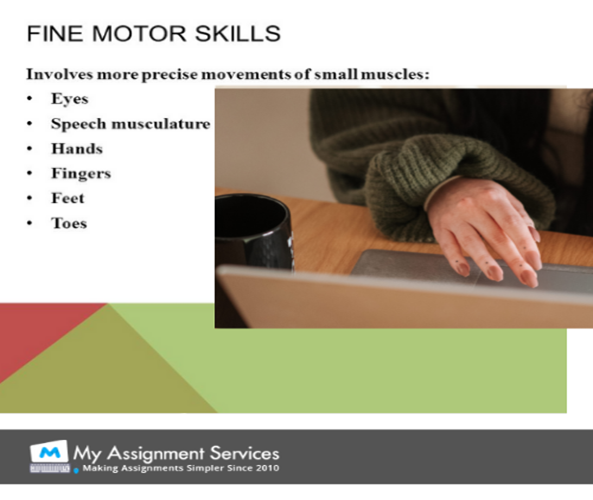 fine motor skill