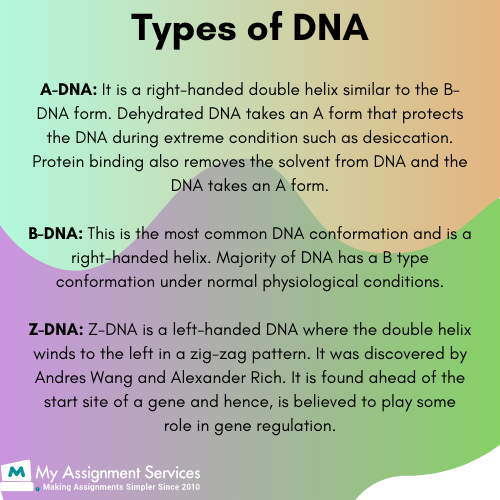 Deoxyribonucleic acid3