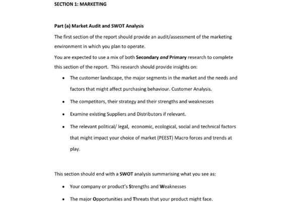 market audit and swot analysis