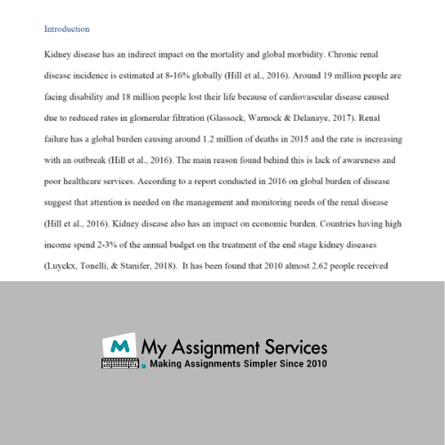 palliative care assignment sample