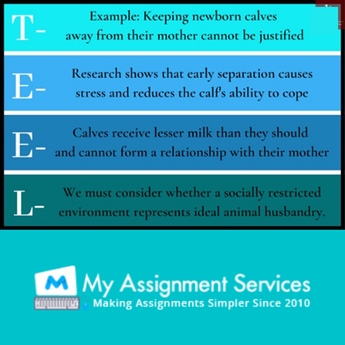 TEEL Paragraph Structure