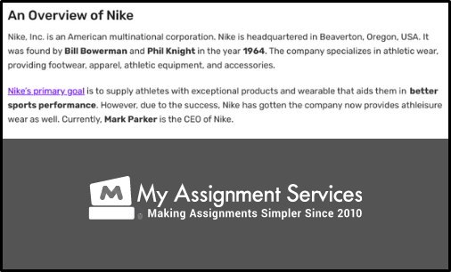 overview of nike
